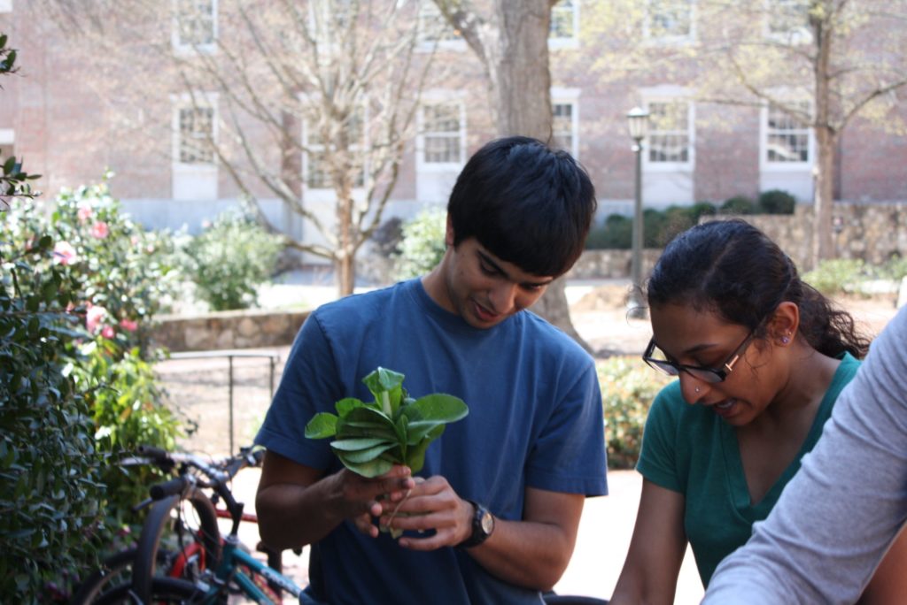 Sprout UNC: Produce with a Purpose