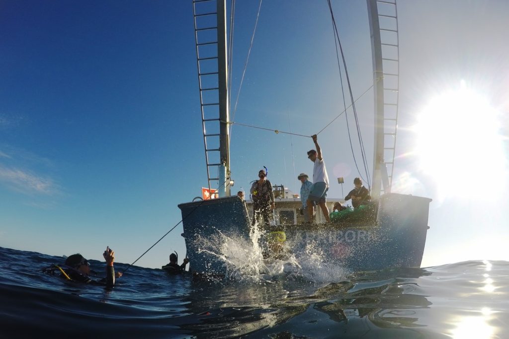 The UNC Institute of Marine Sciences, located in Morehead City celebrates its 70th anniversary this year. (photo shows a boat on the water in Morehead City).