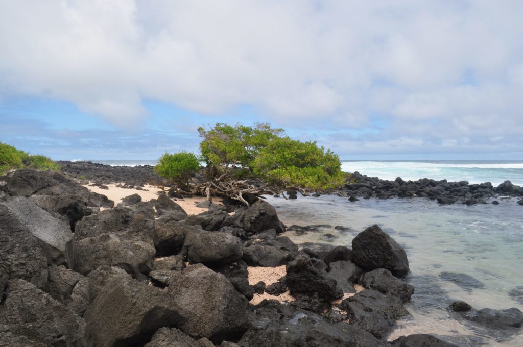 The Galapagos Islands. Photos courtesy of Steve Walsh.