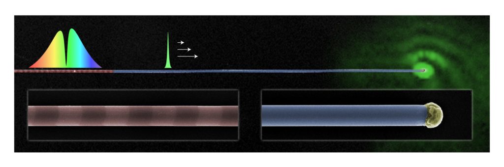 Picture of Overlaid scanning electron microscopy (SEM) and optical images showing an ENGRAVE nanowire that is periodically modulated at one end. Light of one select color (green) from a broad rainbow background enters at the modulated segment (false-colored red), traverses the uniform wire (false-colored blue), and is emitted at the end. Insets are magnified SEM images of the modulated segment and end of the nanowire, where the end contains a spherical gold particle that was used to grow the nanowire by the ENGRAVE process.