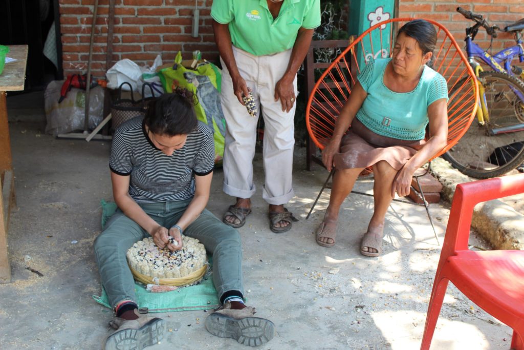 Maya Weinberg learns how to separate corn from the cob while studying abroad in Mexico.