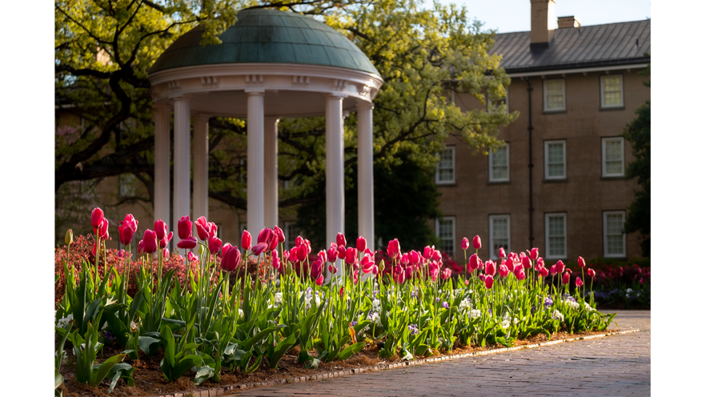 Old Well and tulips