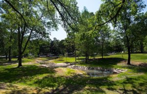 Battle Grove Restoration Project “daylighted” the Battle Branch tributary that flowed through a pipe and stone channel.