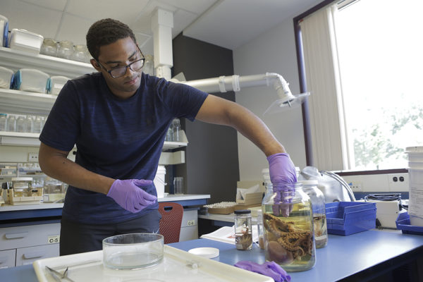 Jared Richards removes octopus from jar