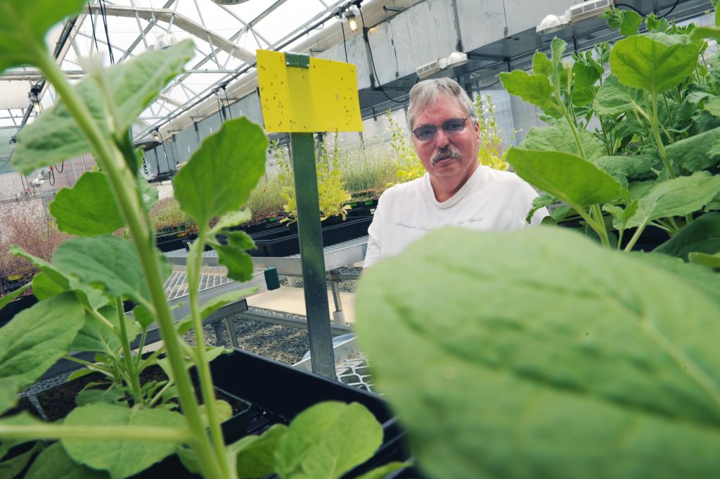 The Business of Bugs: Bringing agricultural biotechnology to the Triangle