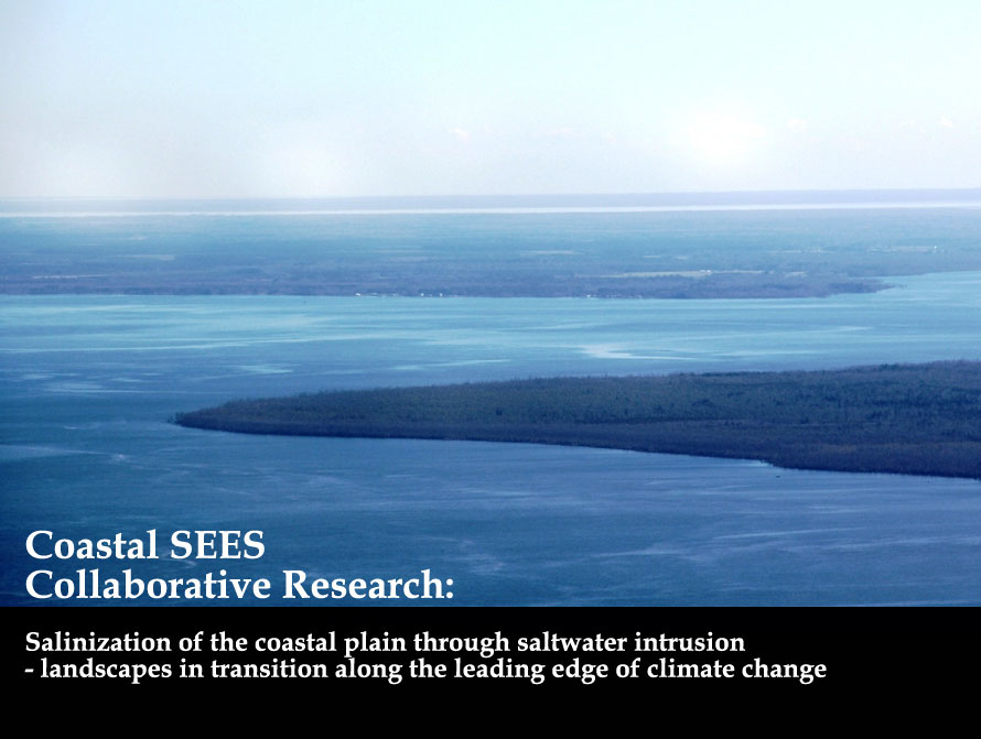NSF grant to fund interdisciplinary coastal climate change research