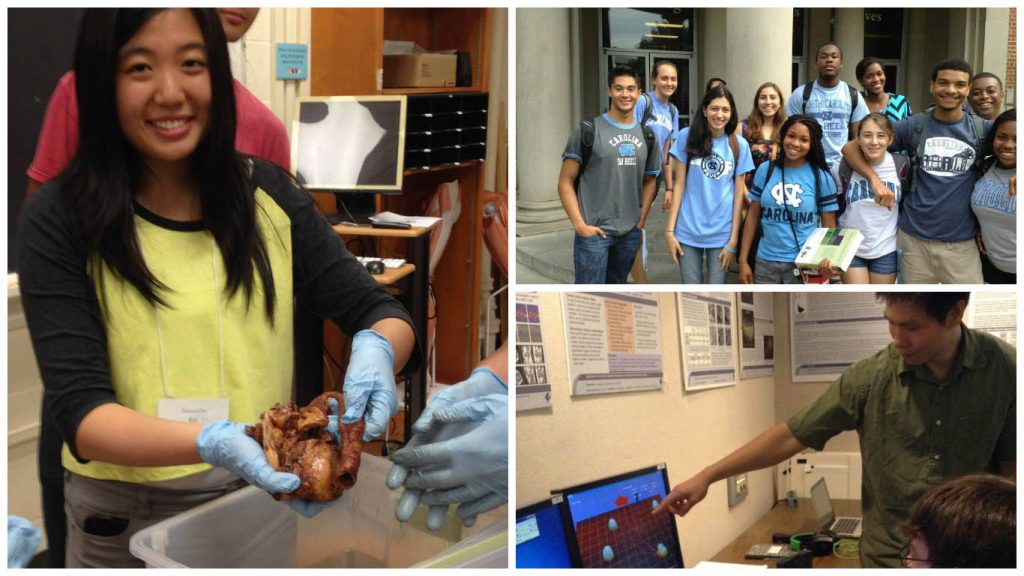 Chancellor’s Science Scholars program helps undergrads forge a pathway to careers in research