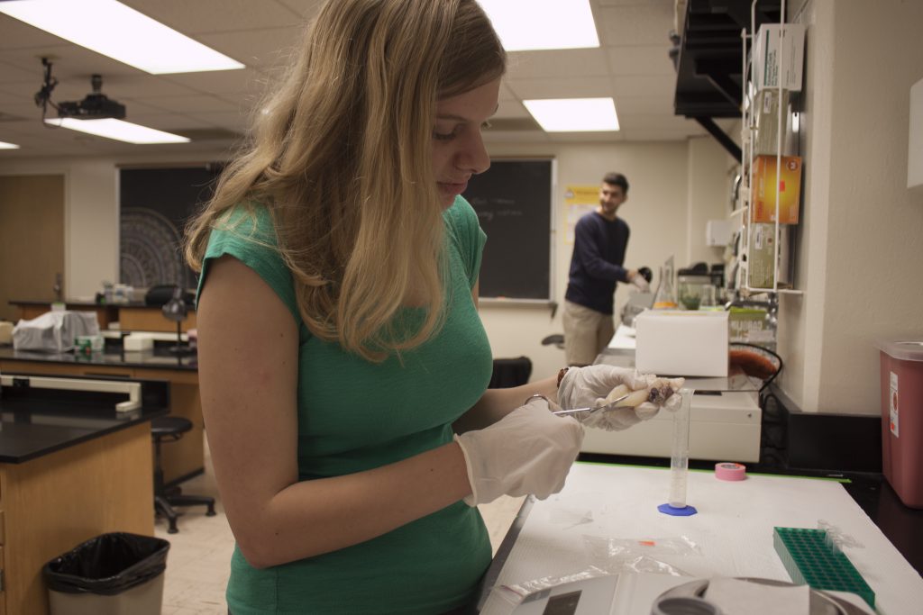 Students examine seafood mislabeling in pilot research-intensive course