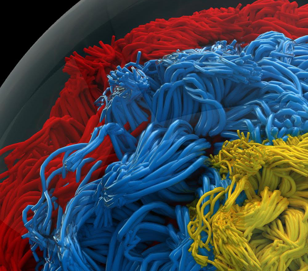 Engineered “spaghetti-ball” proteins provide biomedical insights