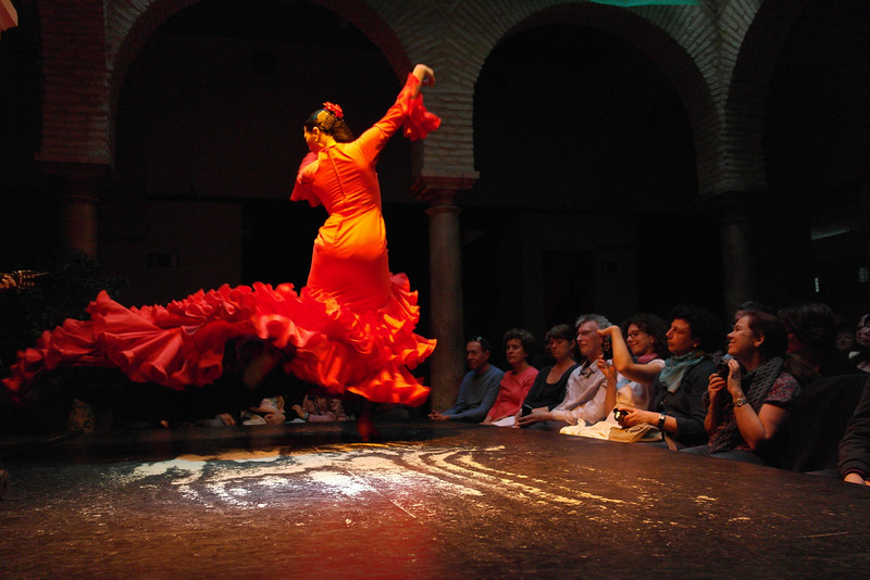 "During a trip to seville, i attended a demonstration of traditional flamenco dancing and was awed by the vivacity and passion of the dance, which is communicated here by the motion of the dancer's twirling skirt and its fiery hue."