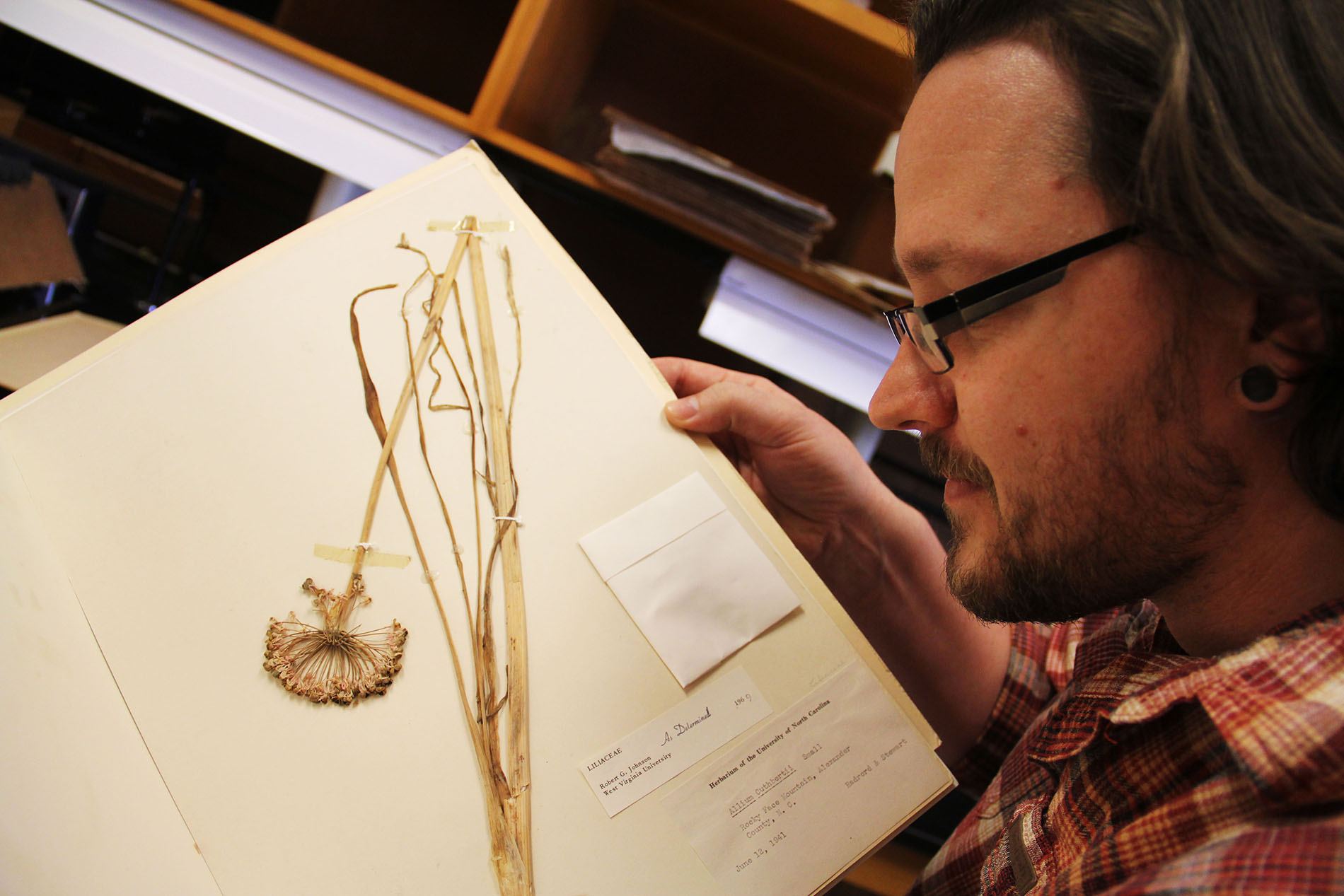 UNC PhD student Derick Poindexter observes a specimen called Keever’s onion, a new species he and UNC Herbarium Director Alan Weakley recently studied and published information on in the Journal of the Botanical Research Institute of Texas. (photo courtesy of Endeavors)
