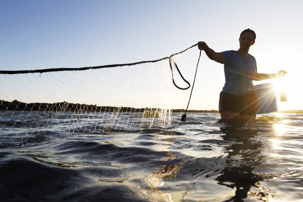 Ziegler utilizes a variety of equipment to catch fish. Here, she sets an experiment gill net as the tide comes in and the sun starts to lower. Bright sun shines on her and the net as she stands in the water.