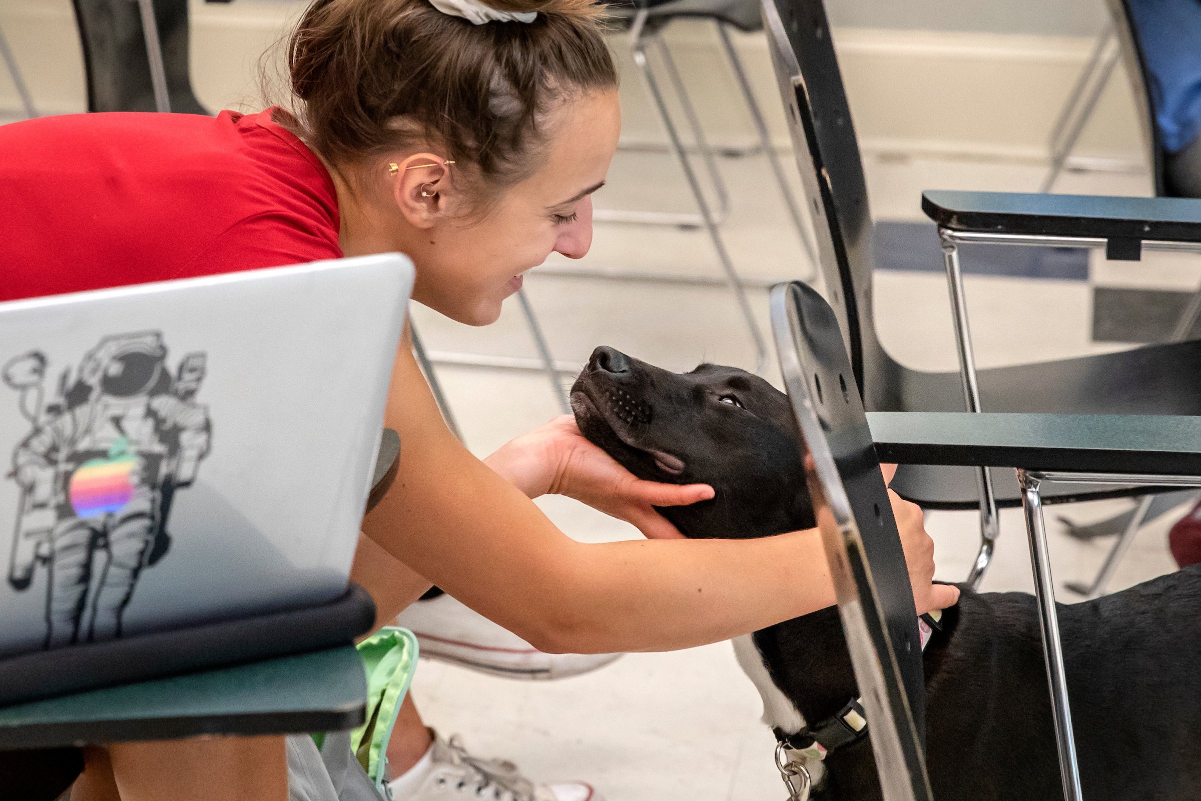 Rising senior Avery Mavroudis greets the dog Posey in anthropologist Margaret Wiener's "Canine Cultures" Maymester class. (photo by Johnny Andrews) Avery leans down to pet the black dog, Posey, who gazes up at her.