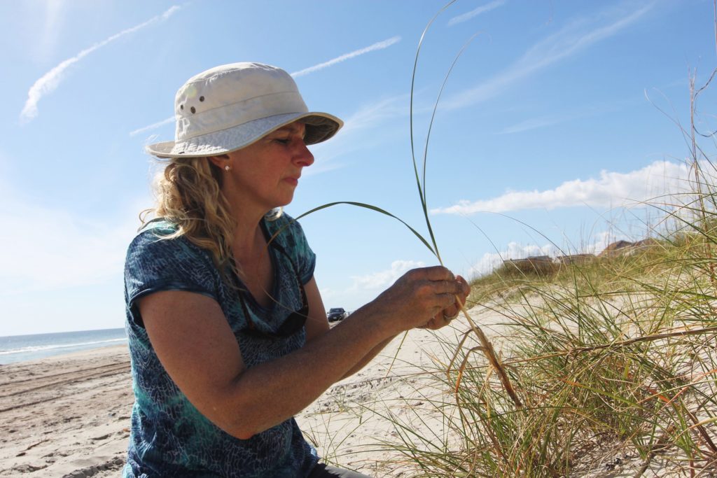 Laura Moore conducts fieldwork on the North Carolina coast. (photo by Mary Lide Parker)