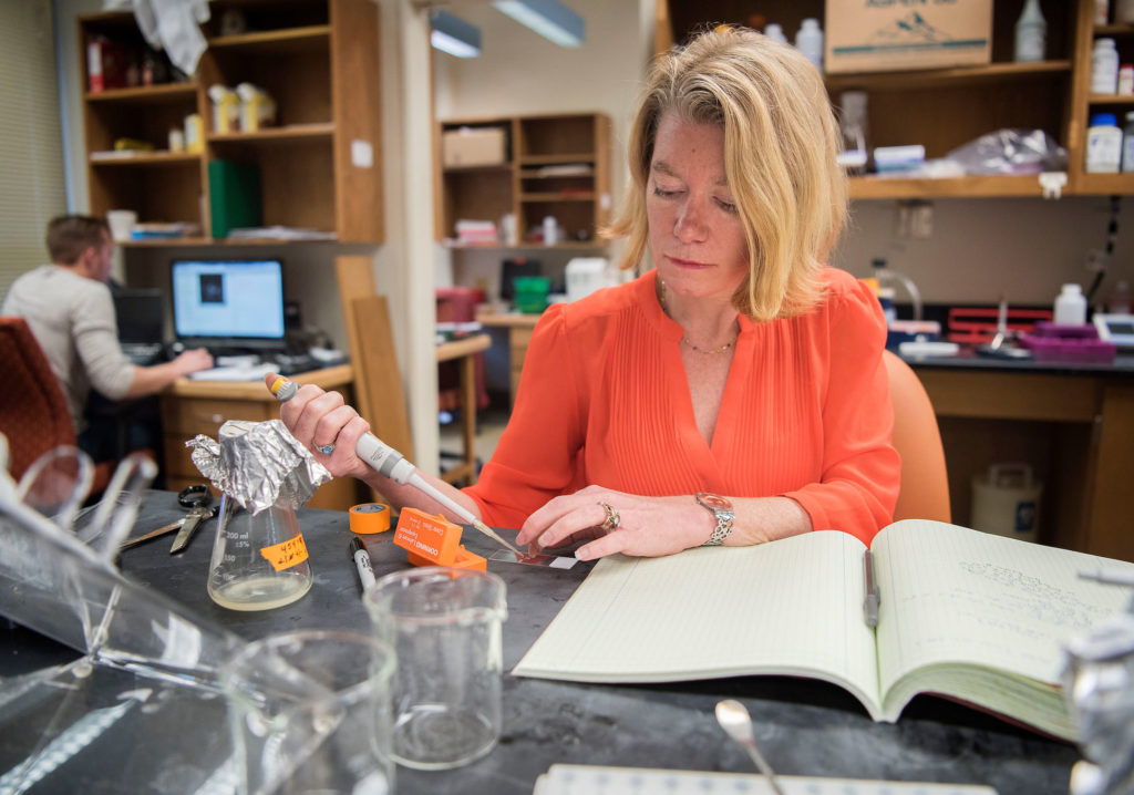 Amy Gladfelter in her lab at UNC-Chapel Hill. (photo by Jon Gardiner)