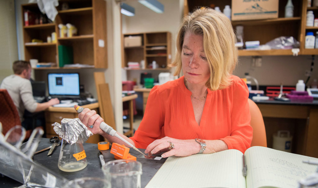 Amy Gladfleter in her lab