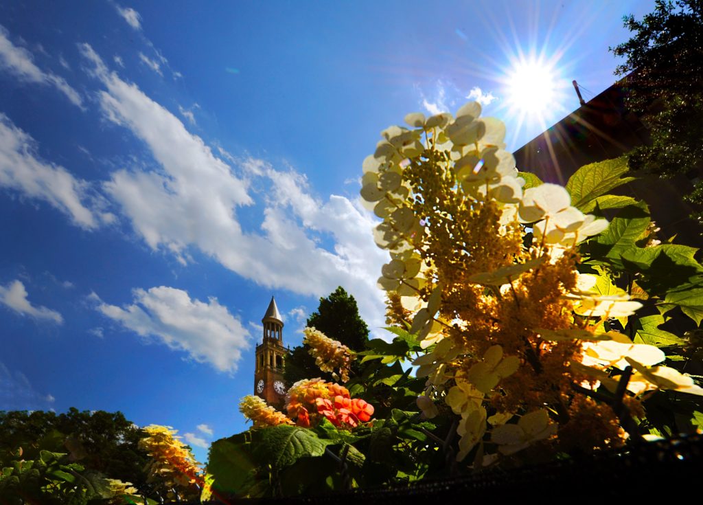 Image shows the bell tower in the distance and pretty orange and yellow flowers in the foreground with a Carolina blue sky.