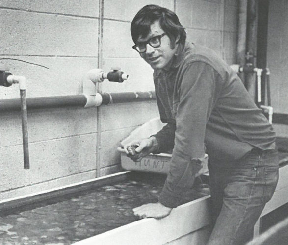 Peterson checks on young clams in the lab, circa 1981. At this time, he was studying growth lines on hard clams to determine their ages. I photo by Cassie Griffin, Coastwatch magazine