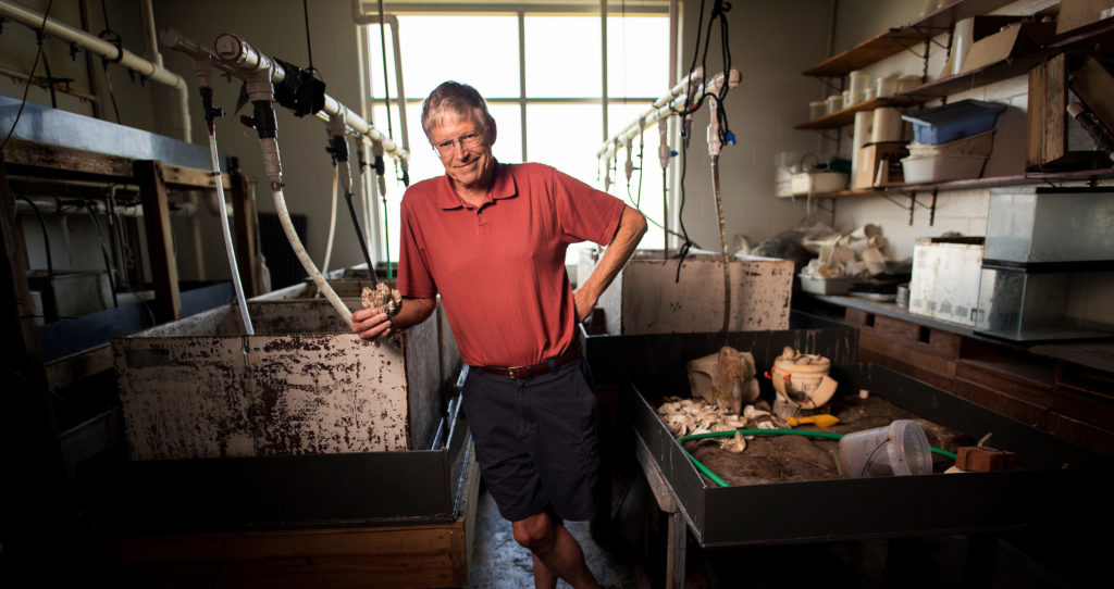 Charles "Pete" Peterson in his lab at the UNC Institute of Marine Sciences in Morehead City. (photo by Jon Gardiner)