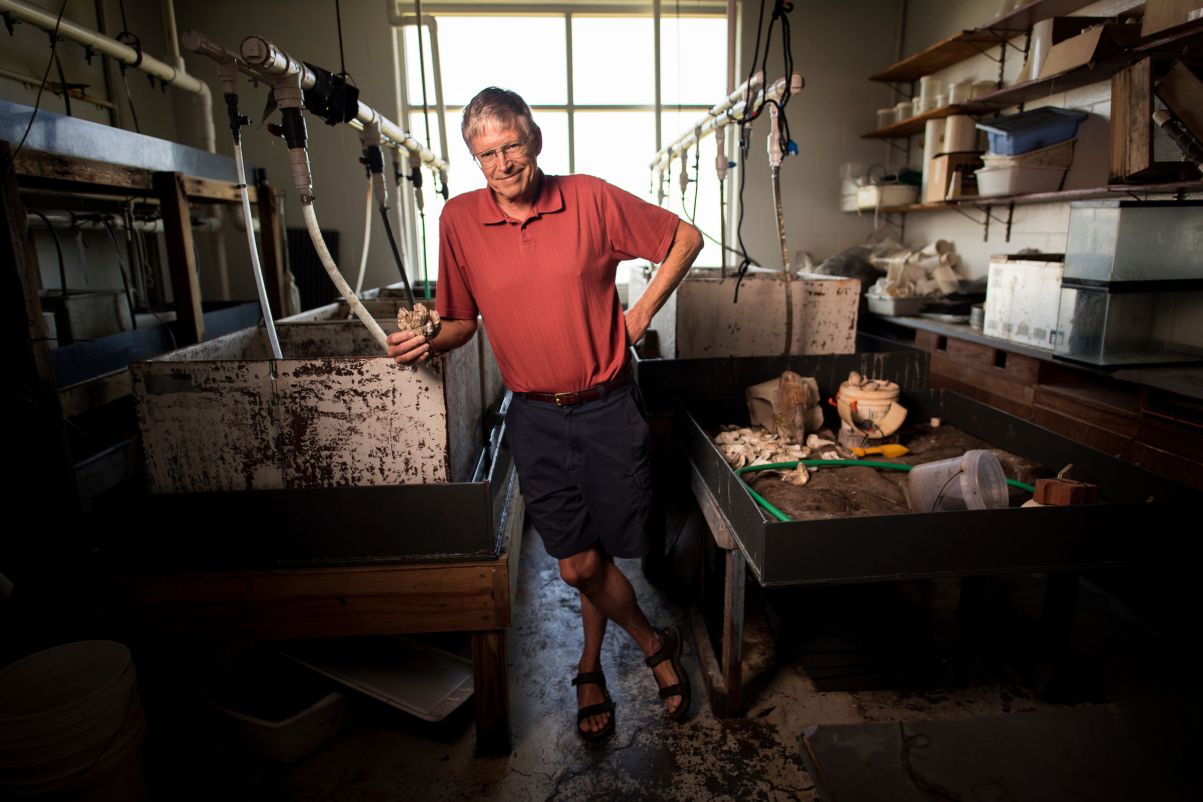 Charles "Pete" Peterson in his lab at the UNC Institute of Marine Sciences in Morehead City. (photo by Jon Gardiner)