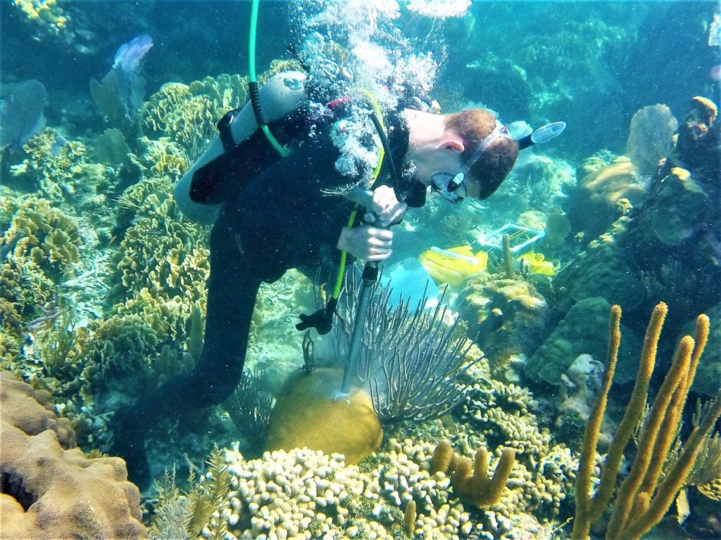 Justin Baumann drills a coral core in Belize. (Photo Credit: Hannah Aichelman)