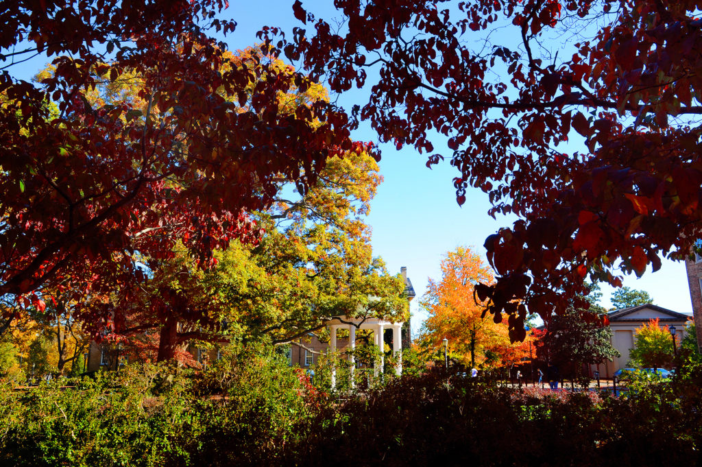 beautiful campus shot of the Old Well in the fall, with the fall trees changing colors in the background.