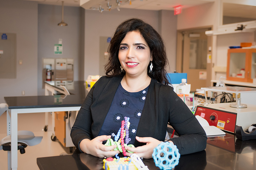 Scientist Ronit Freeman holds a 3D model of a protein her lab in mimicking. (photo by Sarah Daniels)